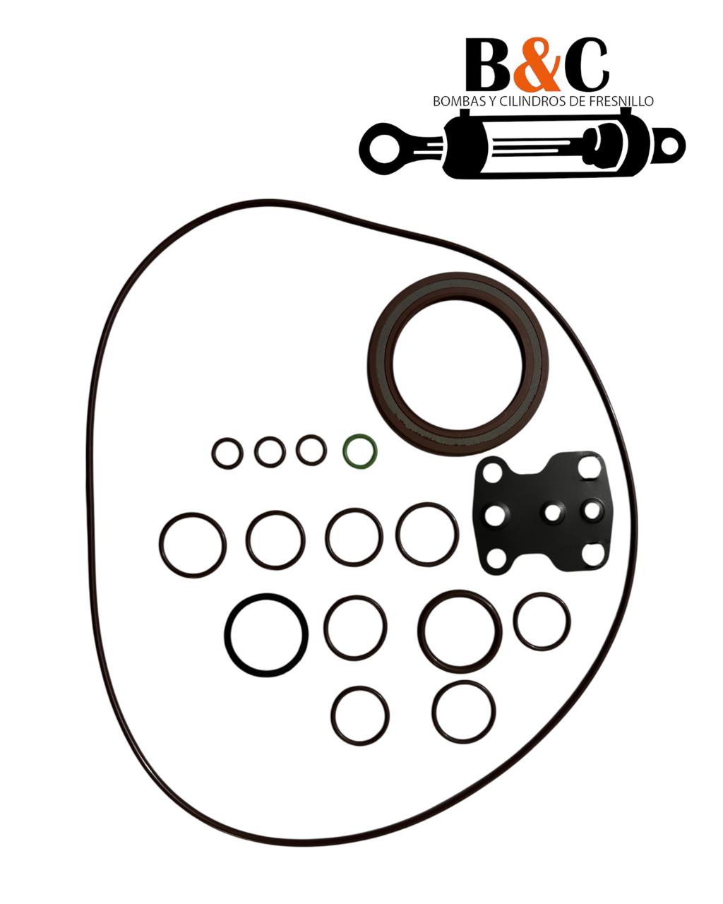 KIT DE SELLOS PARA BOMBA REXROTH A10VO100