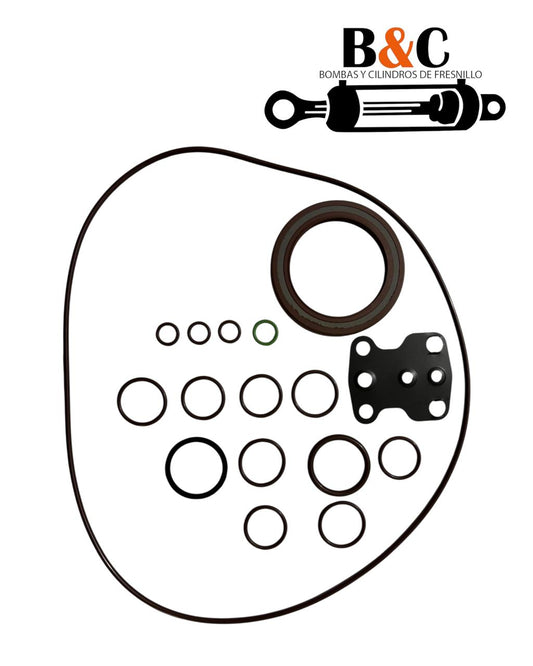 KIT DE SELLOS PARA BOMBA REXROTH A10VO100